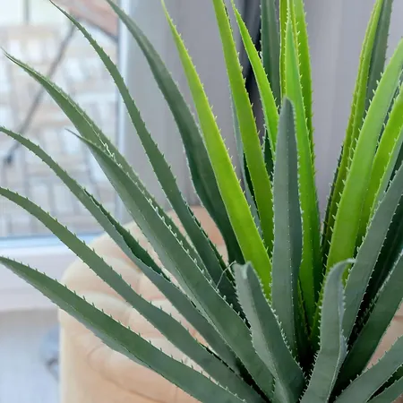 Appartement Stylowy Jastrzebia Gora Parking By Rent Like *