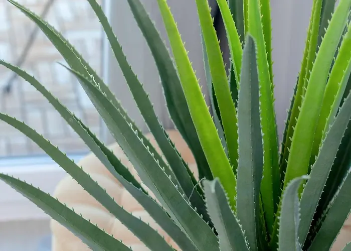 Apartmán Stylowy Jastrzebia Gora Parking By Rent Like *